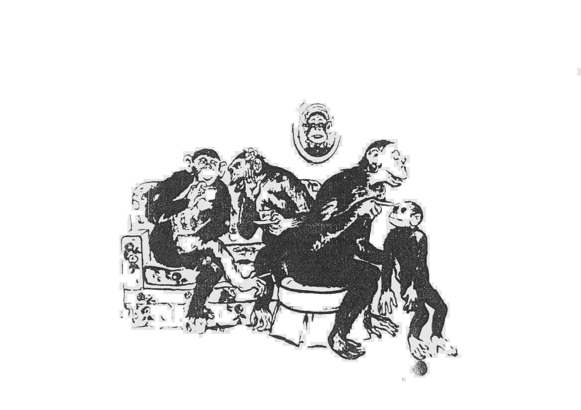 рис 8